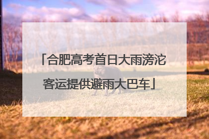 合肥高考首日大雨滂沱 客运提供避雨大巴车