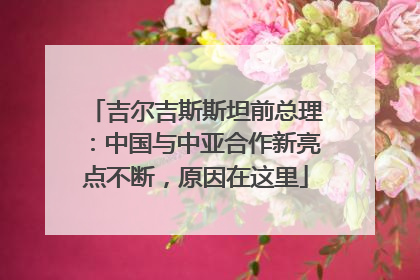 吉尔吉斯斯坦前总理：中国与中亚合作新亮点不断，原因在这里