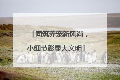 同筑养宠新风尚，小细节彰显大文明