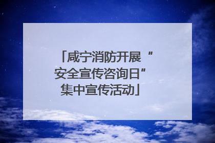 咸宁消防开展“安全宣传咨询日”集中宣传活动