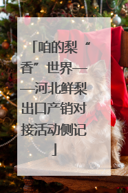 咱的梨“香”世界——河北鲜梨出口产销对接活动侧记