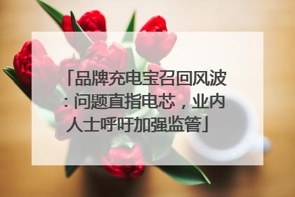 品牌充电宝召回风波：问题直指电芯，业内人士呼吁加强监管