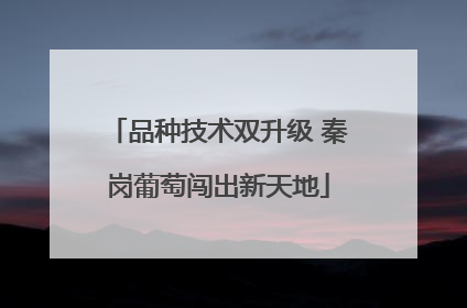 品种技术双升级 秦岗葡萄闯出新天地