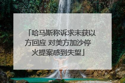 哈马斯称诉求未获以方回应 对美方加沙停火提案感到失望