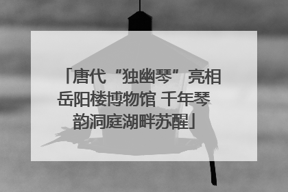 唐代“独幽琴”亮相岳阳楼博物馆 千年琴韵洞庭湖畔苏醒