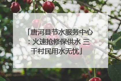 唐河县节水服务中心：火速抢修保供水 三千村民用水无忧