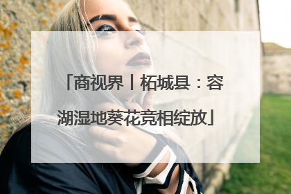 商视界丨柘城县：容湖湿地葵花竞相绽放