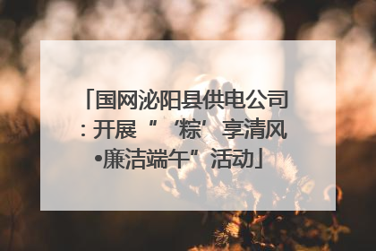 国网泌阳县供电公司：开展“‘粽’享清风 •廉洁端午”活动