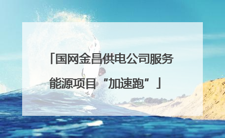 国网金昌供电公司服务能源项目“加速跑”