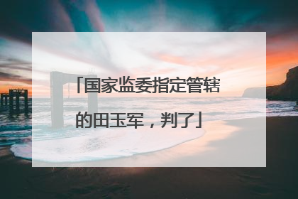 国家监委指定管辖的田玉军，判了