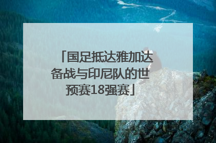 国足抵达雅加达备战与印尼队的世预赛18强赛
