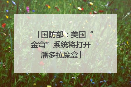 国防部：美国“金穹”系统将打开潘多拉魔盒