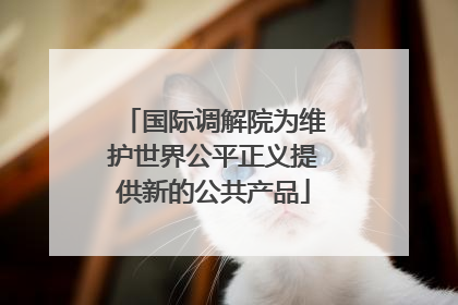 国际调解院为维护世界公平正义提供新的公共产品