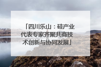 四川乐山：硅产业代表专家齐聚共商技术创新与协同发展