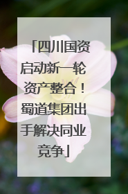 四川国资启动新一轮资产整合！蜀道集团出手解决同业竞争