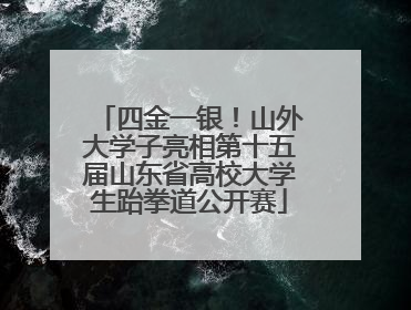 四金一银！山外大学子亮相第十五届山东省高校大学生跆拳道公开赛