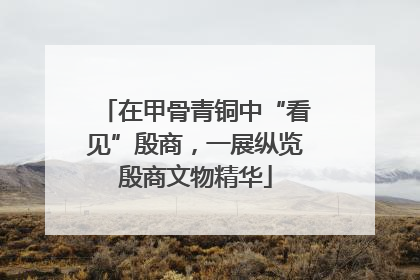 在甲骨青铜中“看见”殷商，一展纵览殷商文物精华