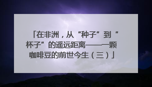 在非洲，从“种子”到“杯子”的遥远距离——一颗咖啡豆的前世今生（三）
