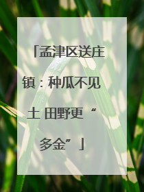 孟津区送庄镇：种瓜不见土 田野更“多金”