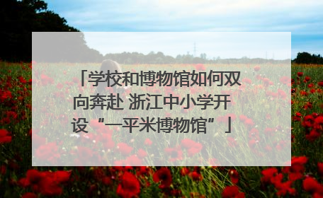学校和博物馆如何双向奔赴 浙江中小学开设“一平米博物馆”