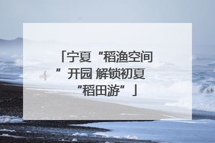 宁夏“稻渔空间”开园 解锁初夏“稻田游”