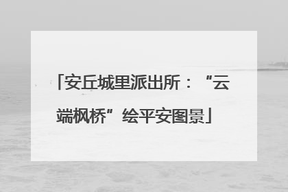 安丘城里派出所：“云端枫桥”绘平安图景