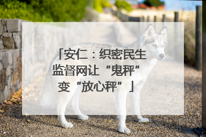 安仁：织密民生监督网让“鬼秤”变“放心秤”