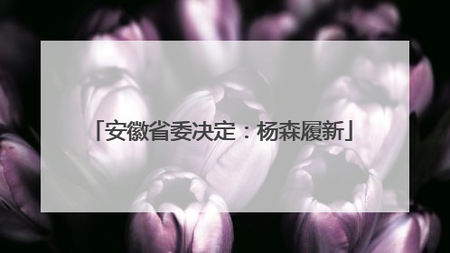 安徽省委决定：杨森履新