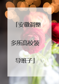 安徽调整多所高校领导班子