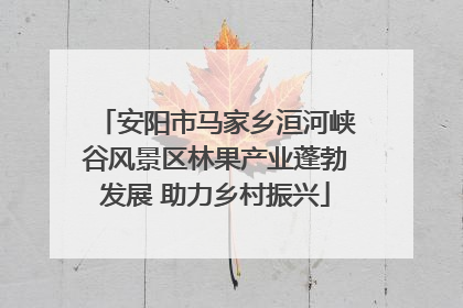 安阳市马家乡洹河峡谷风景区林果产业蓬勃发展 助力乡村振兴
