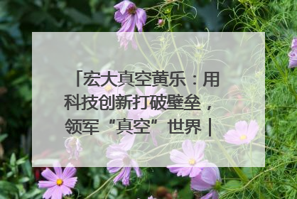 宏大真空黄乐：用科技创新打破壁垒，领军“真空”世界｜湘商，向上③