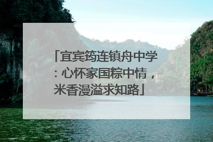 宜宾筠连镇舟中学：心怀家国粽中情，米香漫溢求知路