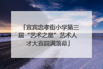 宜宾忠孝街小学第三届“艺术之星”艺术人才大赛圆满落幕