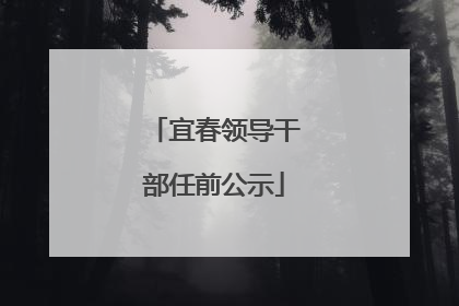 宜春领导干部任前公示