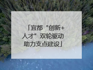 宜都“创新+人才”双轮驱动助力支点建设