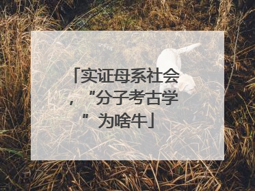 实证母系社会，“分子考古学”为啥牛