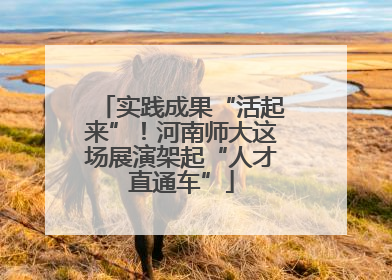 实践成果“活起来”！河南师大这场展演架起“人才直通车”