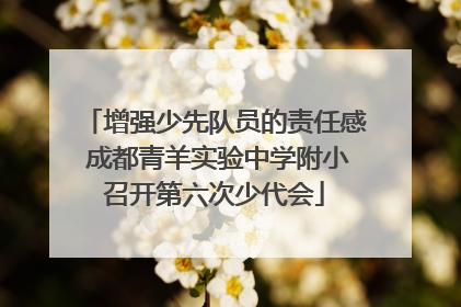 增强少先队员的责任感 成都青羊实验中学附小召开第六次少代会