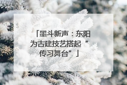 墨斗新声：东阳为古建技艺搭起“传习舞台”