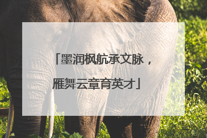 墨润枫航承文脉，雁舞云章育英才