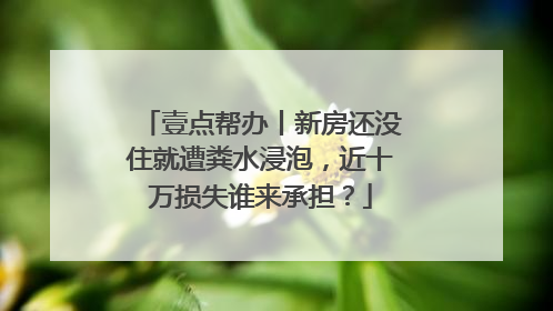 壹点帮办丨新房还没住就遭粪水浸泡，近十万损失谁来承担？