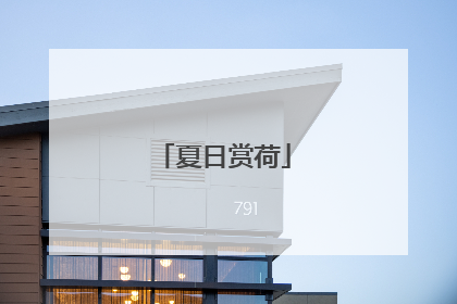 夏日赏荷