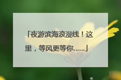 夜游滨海浪漫线！这里，等风更等你……