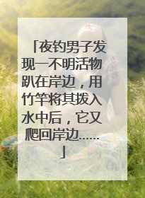 夜钓男子发现一不明活物趴在岸边，用竹竿将其拨入水中后，它又爬回岸边……