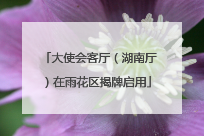 大使会客厅（湖南厅）在雨花区揭牌启用