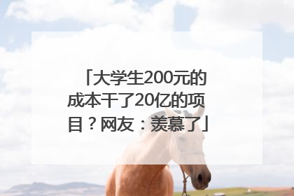 大学生200元的成本干了20亿的项目？网友：羡慕了