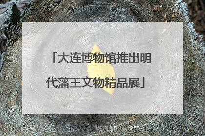 大连博物馆推出明代藩王文物精品展