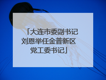 大连市委副书记刘恩举任金普新区党工委书记