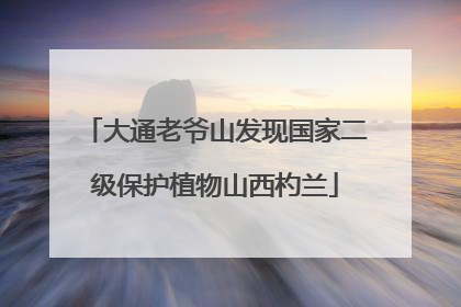 大通老爷山发现国家二级保护植物山西杓兰