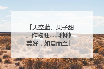 天空蓝、果子甜、作物旺……种种美好，如夏而至